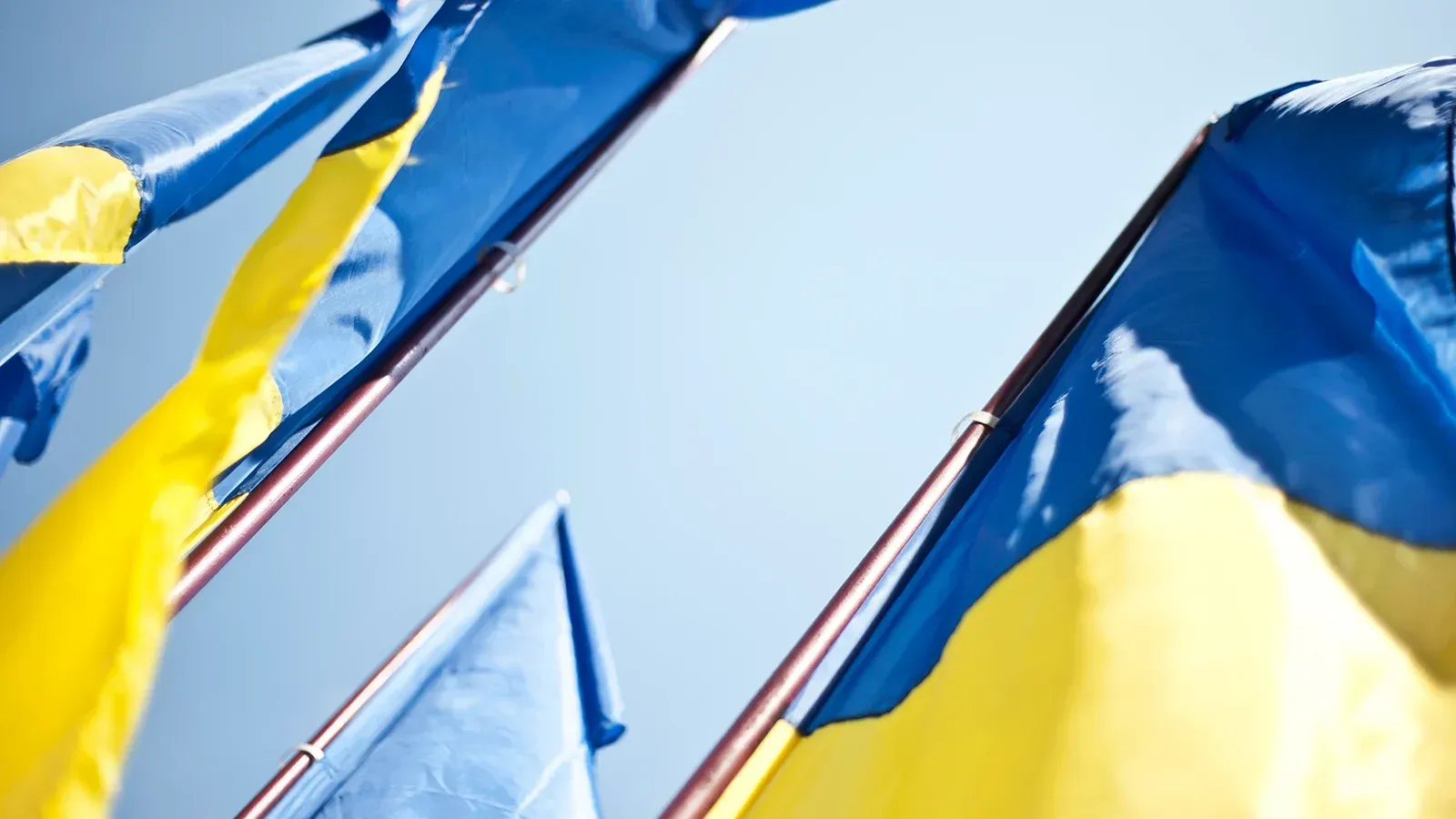 Ukrainian flags flying